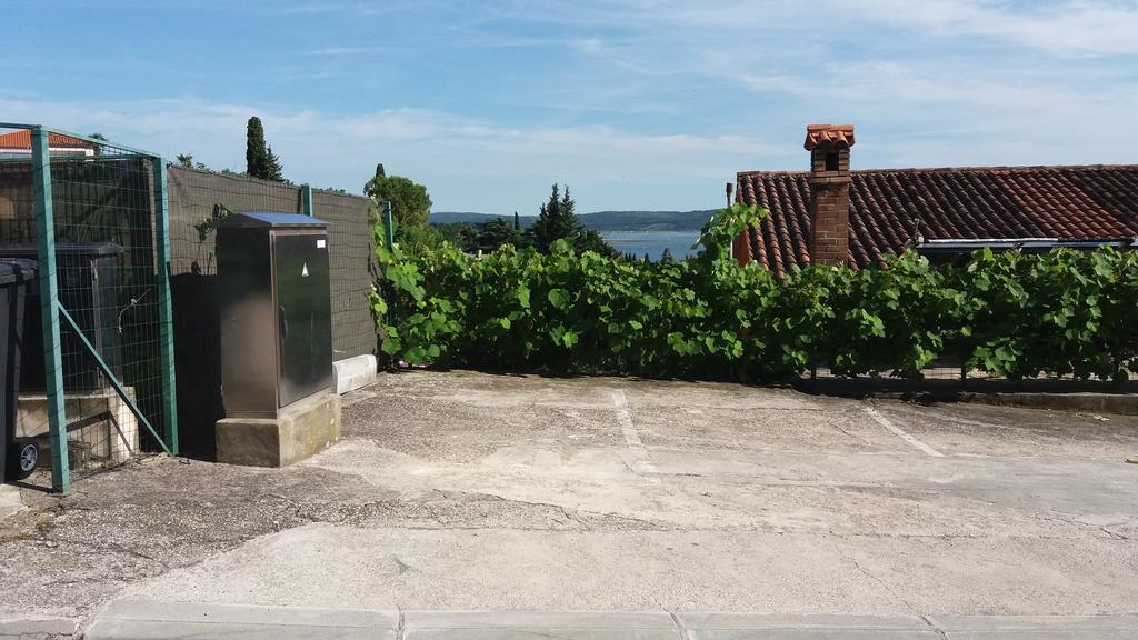 Apartment Golemac ポルトローシュ エクステリア 写真
